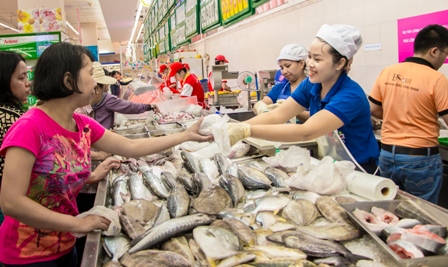 Tiêu thụ cá an toàn của ngư dân miền Trung ảnh 1